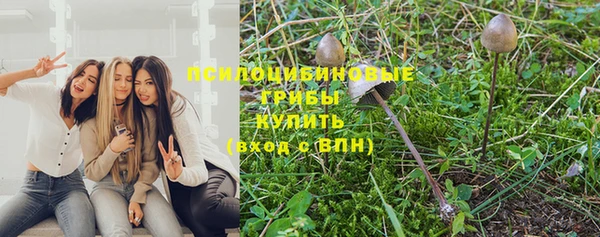 спиды Армянск